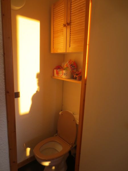 foto 24 Huurhuis van particulieren La Plagne studio Rhne-Alpes Savoie Apart toilet
