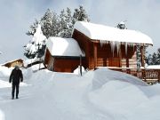 Vakantiewoningen chalets Pyreneen (Frankrijk): chalet nr. 106862