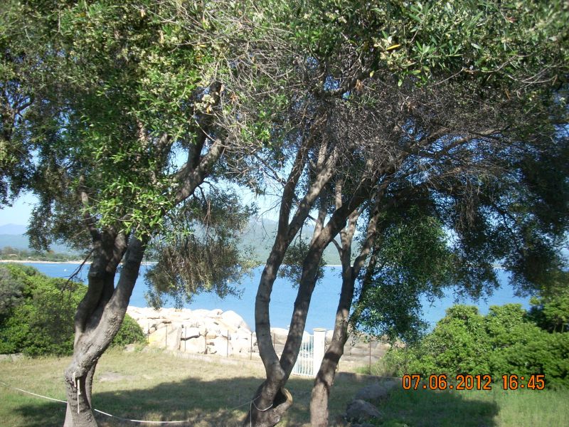 foto 3 Huurhuis van particulieren Porto Pollo villa Corsica Corse du Sud Uitzicht vanaf het terras