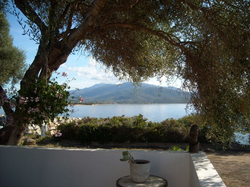 foto 14 Huurhuis van particulieren Porto Pollo villa Corsica Corse du Sud Uitzicht vanaf het terras