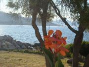 Vakantiewoningen zicht op zee Propriano: villa nr. 108871