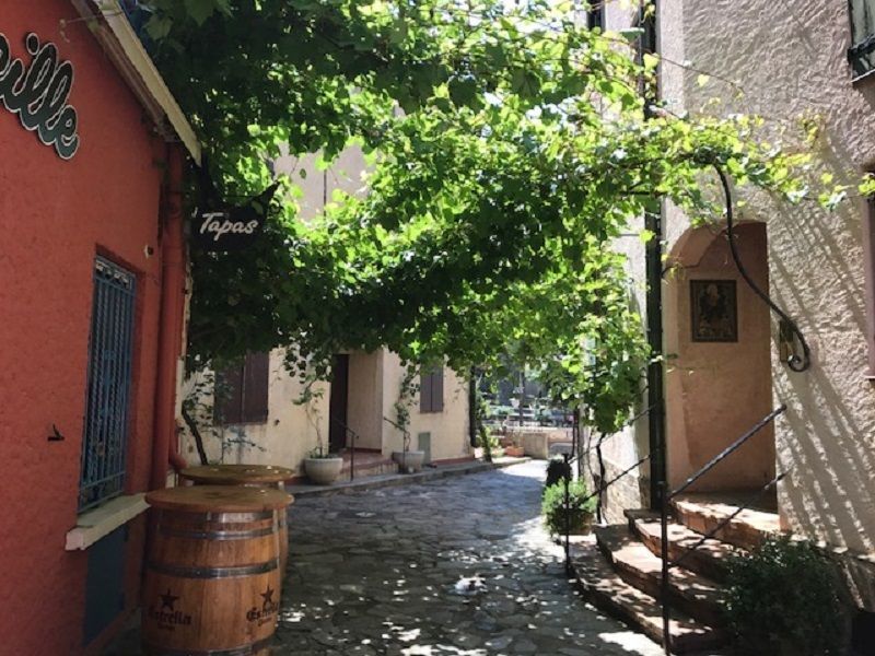 foto 1 Huurhuis van particulieren Collioure studio Languedoc-Roussillon Pyrnes-Orientales Uitzicht vanaf het terras