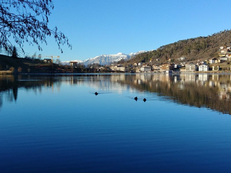 foto 0 Huurhuis van particulieren Baselga di Pin appartement Trentino-Alto-Adigo Trento (provincie) Zicht op de omgeving