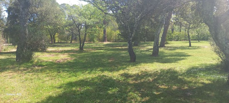 foto 6 Huurhuis van particulieren Gonfaron maison Provence-Alpes-Cte d'Azur Var Tuin