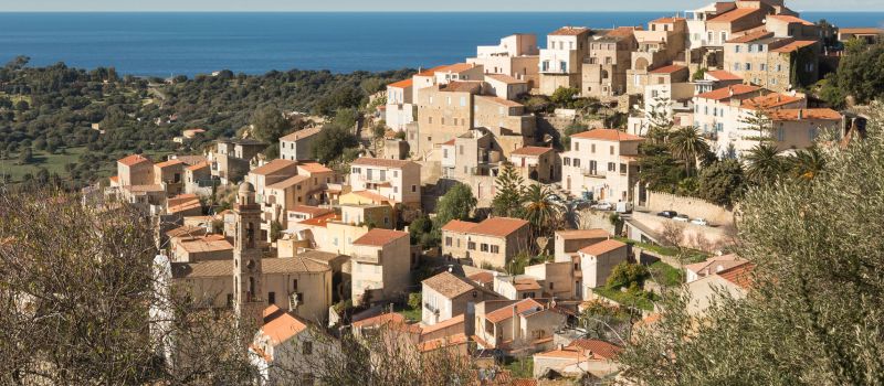 foto 22 Huurhuis van particulieren Lumio studio Corsica Haute-Corse Het aanzicht van de woning
