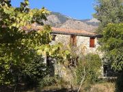 Vakantiewoningen Haute-Corse: appartement nr. 99563