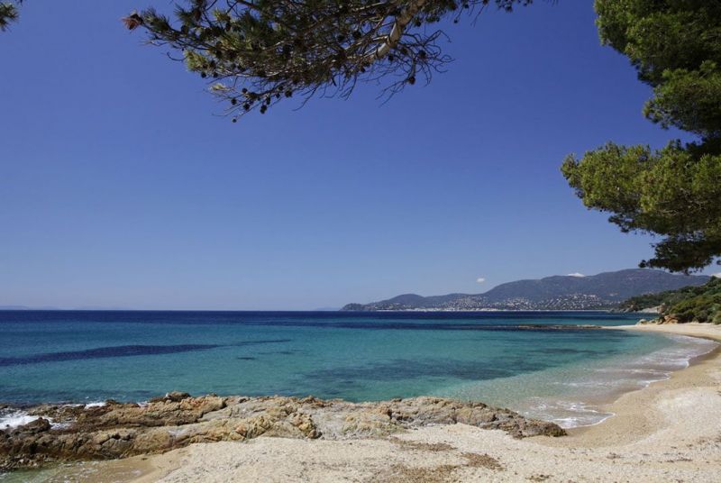 foto 0 Huurhuis van particulieren Hyres maison Provence-Alpes-Cte d'Azur Var