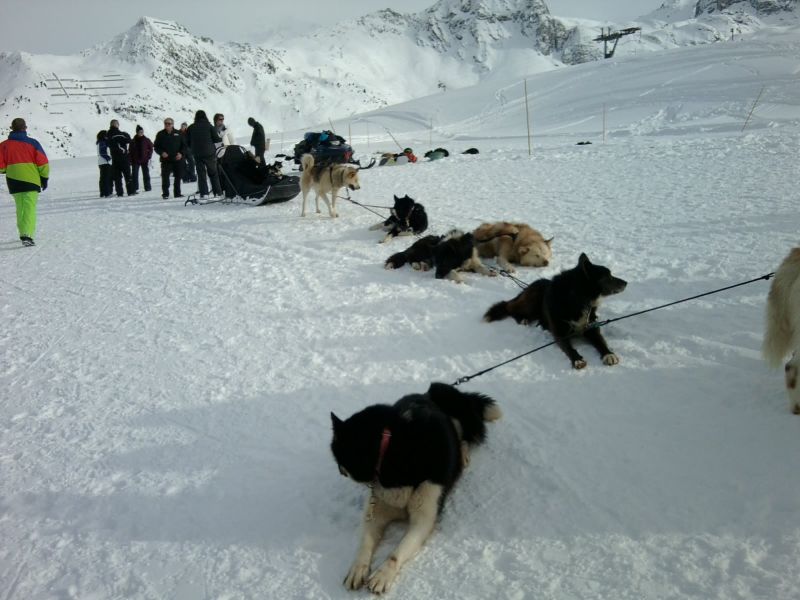 foto 18 Huurhuis van particulieren La Plagne appartement Rhne-Alpes Savoie Overig uitzicht