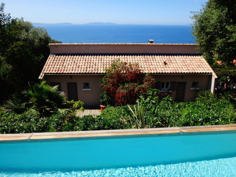 foto 11 Huurhuis van particulieren Rayol Canadel sur Mer appartement Provence-Alpes-Cte d'Azur Var Zwembad