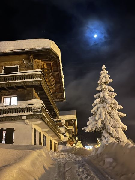 foto 4 Huurhuis van particulieren Chtel appartement Rhne-Alpes Haute-Savoie Het aanzicht van de woning