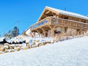 Vakantiewoningen Vagney: chalet nr. 120066