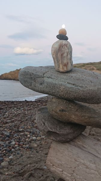 foto 14 Huurhuis van particulieren Argeles sur Mer studio Languedoc-Roussillon Pyrnes-Orientales Strand