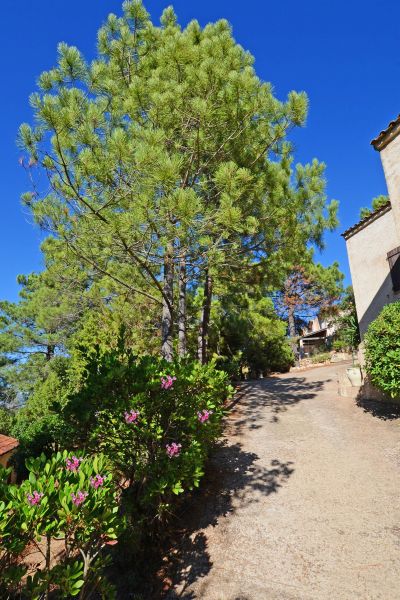 foto 11 Huurhuis van particulieren Porto Vecchio villa Corsica Corse du Sud Het aanzicht van de woning