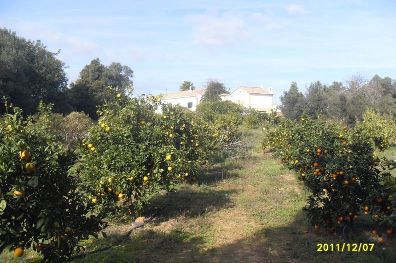 foto 24 Huurhuis van particulieren Armao de Pera gite Algarve