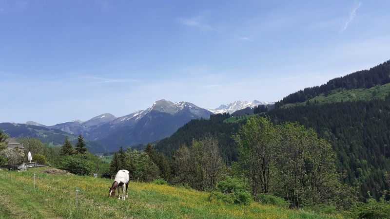 foto 19 Huurhuis van particulieren Morzine studio Rhne-Alpes Haute-Savoie Uitzicht vanaf de woning