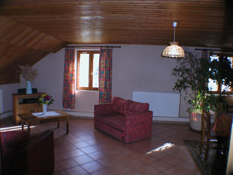 foto 2 Huurhuis van particulieren Serre Chevalier chalet Provence-Alpes-Cte d'Azur  Woonkamer