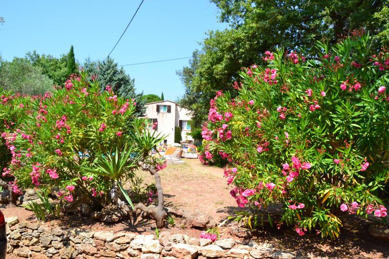 foto 11 Huurhuis van particulieren Frjus appartement Provence-Alpes-Cte d'Azur Var Het aanzicht van de woning