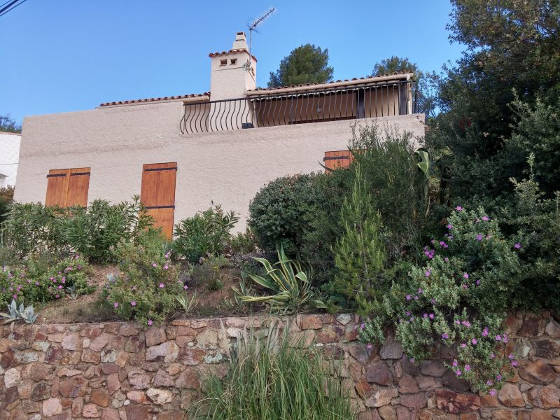 foto 17 Huurhuis van particulieren Roquebrune sur Argens villa Provence-Alpes-Cte d'Azur Var Het aanzicht van de woning