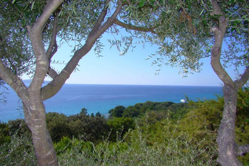 foto 5 Huurhuis van particulieren Propriano villa Corsica Corse du Sud Uitzicht vanaf het terras