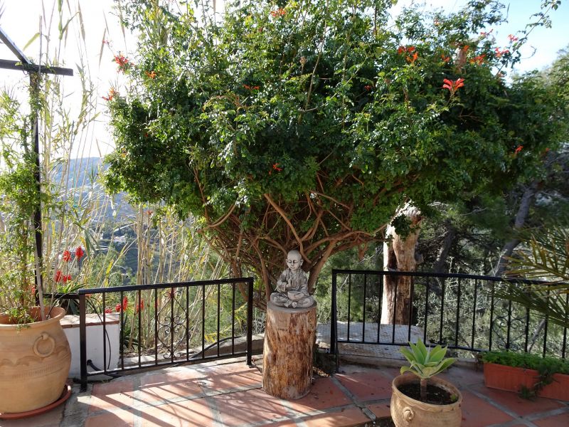 foto 12 Huurhuis van particulieren Torrox villa Andalusi Mlaga (provincia de) Uitzicht vanaf het terras