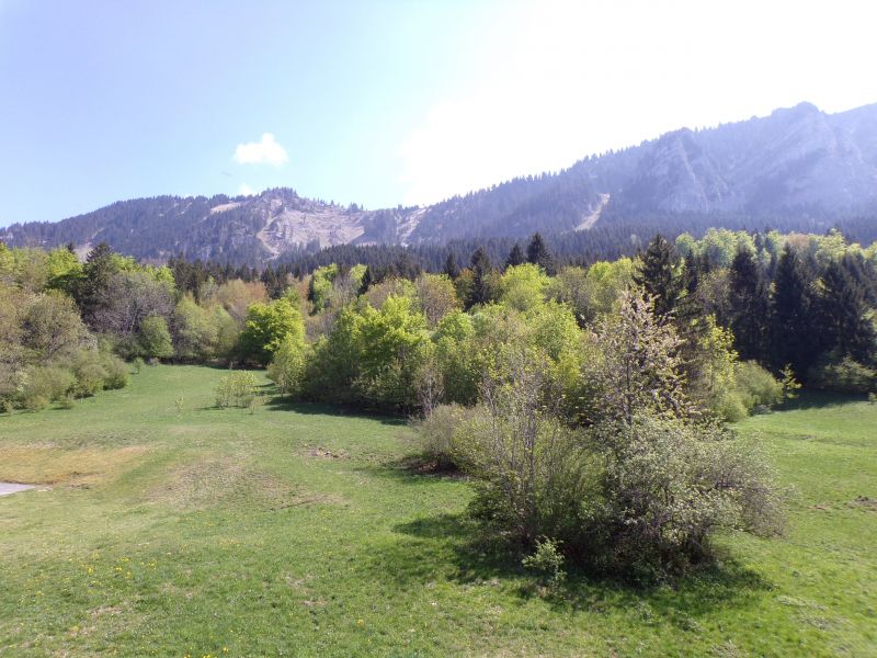 foto 19 Huurhuis van particulieren Thollon Les Mmises appartement Rhne-Alpes Haute-Savoie Zicht op de omgeving