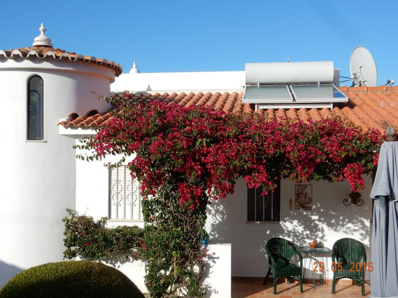 foto 14 Huurhuis van particulieren Carvoeiro gite Algarve  Ingang