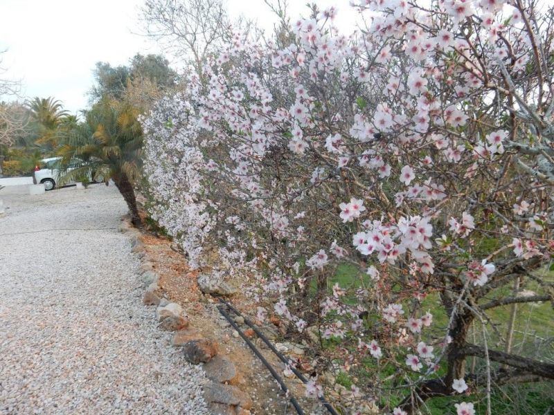 foto 22 Huurhuis van particulieren Carvoeiro gite Algarve  Uitzicht vanaf de woning