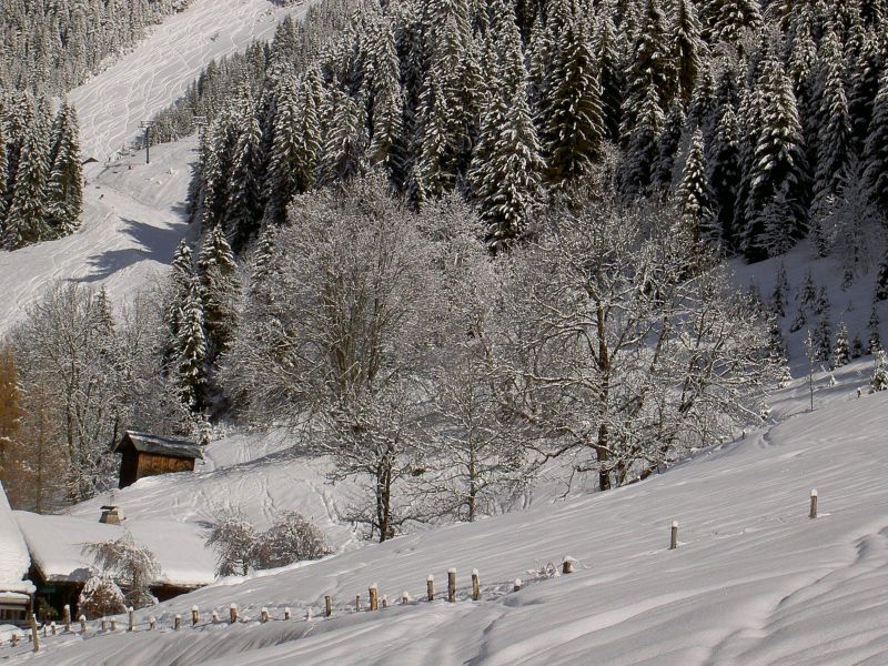 foto 3 Huurhuis van particulieren Chtel appartement Rhne-Alpes Haute-Savoie Uitzicht vanaf de woning