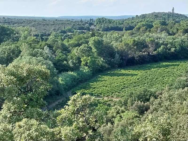 foto 10 Huurhuis van particulieren Sainte-Ccile-les-Vignes mobilhome Provence-Alpes-Cte d'Azur Vaucluse Zicht op de omgeving
