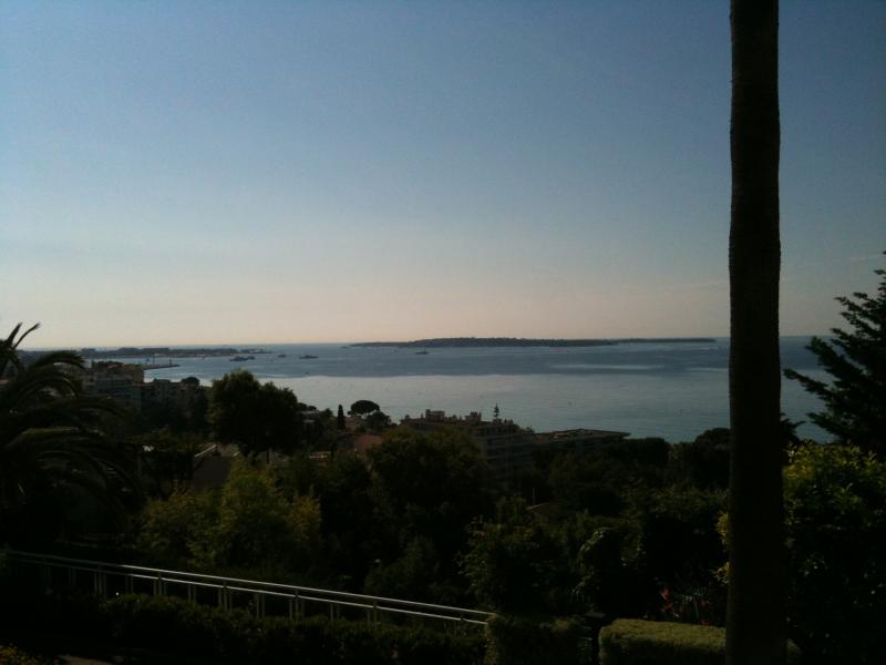 foto 1 Huurhuis van particulieren Cannes appartement Provence-Alpes-Cte d'Azur Alpes-Maritimes Uitzicht vanaf het balkon