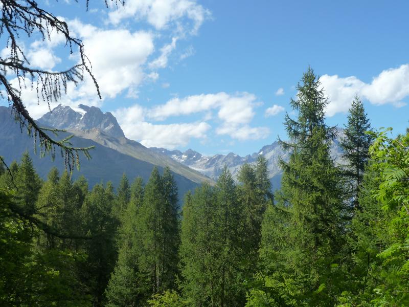 foto 16 Huurhuis van particulieren Puy Saint Vincent studio Provence-Alpes-Cte d'Azur Hautes-Alpes Zicht op de omgeving