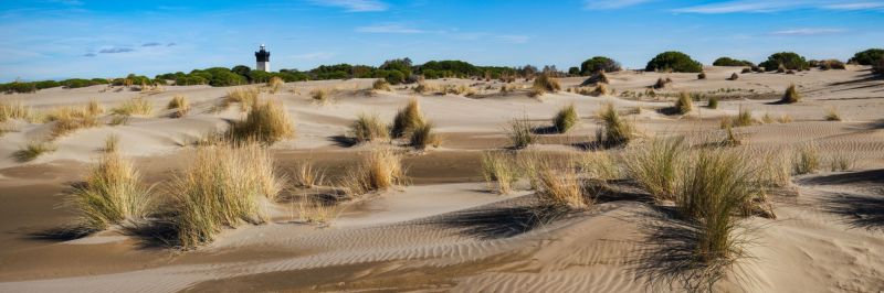 foto 27 Huurhuis van particulieren Aigues Mortes villa Languedoc-Roussillon Gard Strand